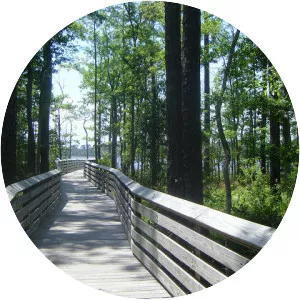 Tarkiln Bayou - Lake in Florida