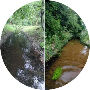 Tarpenbek - Stream in Germany
