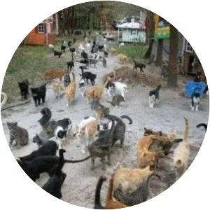 Tashirojima