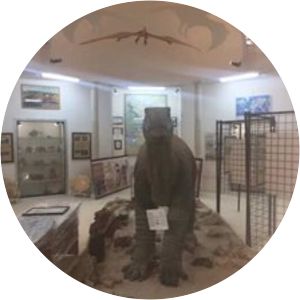 Tataouine's Earth Memory Museum