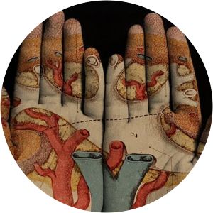 Tatiana Parcero - Photographer