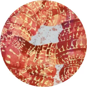 Tatjana Verhasselt photograph