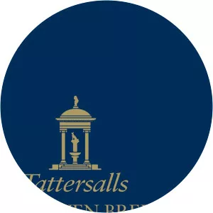 Tattersalls Craven Breeze Up - TV program