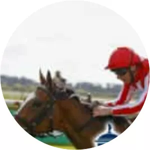 Tattersalls Guineas Breeze Up - TV program