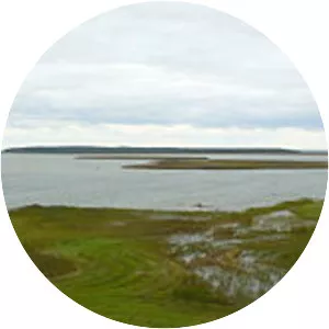 Tauksi - Island in Estonia