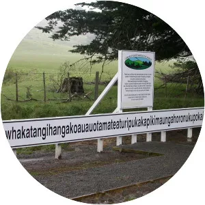 Taumatawhakatangihangakoauauotamateapokaiwhenuakitanatahu - Hill in New Zealand