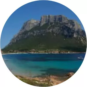 Tavolara Island (Tavolara)