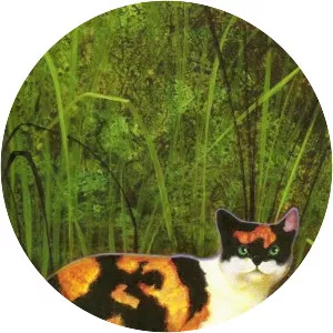 Tawnypelt - Fictional character