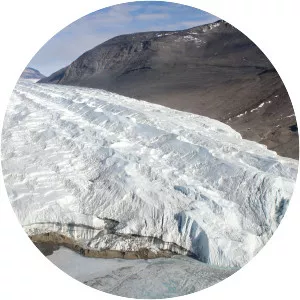 Taylor Glacier