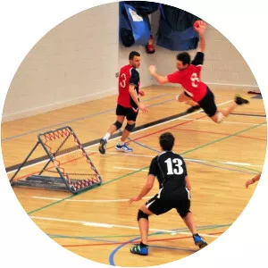 Tchoukball
