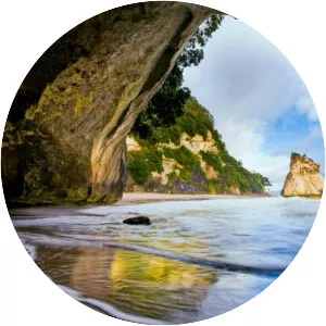 Te Whanganui-A-Hei Marine Reserve - 