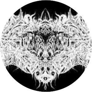 Tears of a Forgotten Life