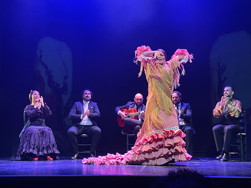 Teatro Flamenco Madrid - Flamenco theater