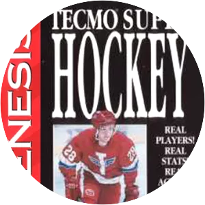 Tecmo Super Hockey