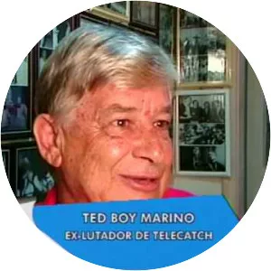 Ted Boy Marino