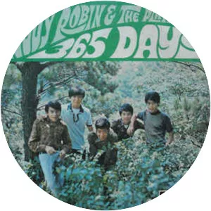 Teddy Robin and the Playboys - Pop band