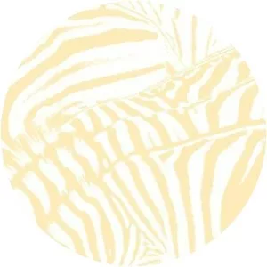 Teen Dream - Studio album by Beach House