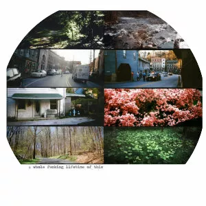 American Pleasure Club