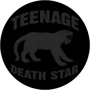 Teenage Death Star - Musical artist