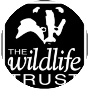 Tees Valley Wildlife Trust - 
