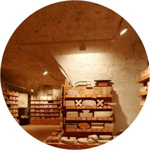 Tegularium - Brick Collection Veszprém