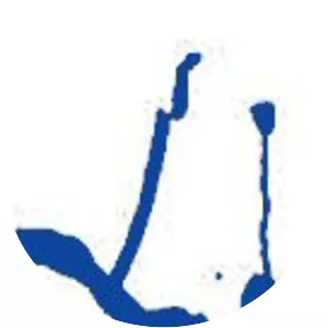 Tehiya - Political party