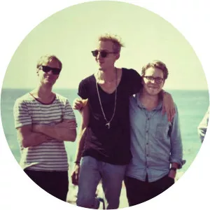 Teis Lindeskov Søgaard Musician