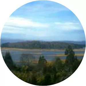 Teja Island - Island in Valdivia, Chile