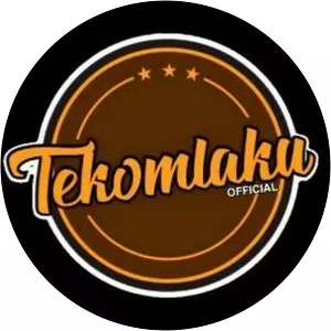 Tekomlaku - Musical artist