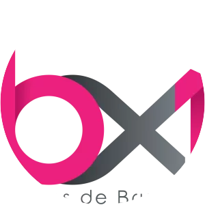 Télé Bruxelles (BX1)