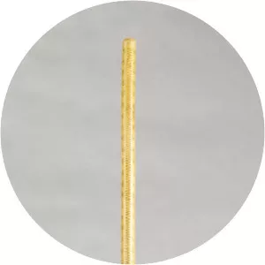 Telenka - Musical instrument