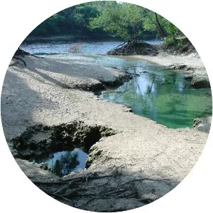 Telford Spring - Spring in Florida