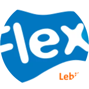 Telkom Flexi - Company