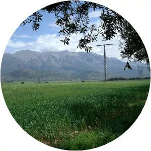 Tell Atlas - Mountain chain