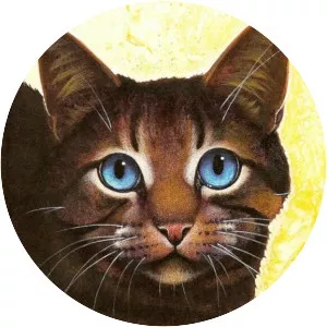 Teller of the Pointed Stones photograph