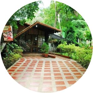 Temático Bosque Macuto Park El Manzano