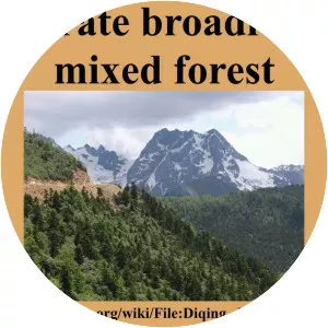 Temperate broadleaf and mixed forest - 