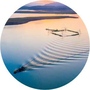 temple chin child hồ vực mấu