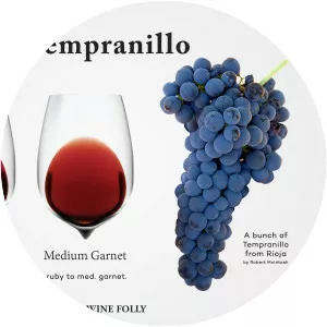 Tempranillo