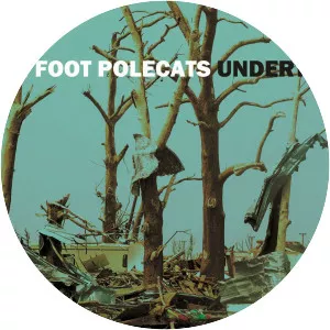 the joshua incident ten foot polecats - Musical group