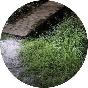 Ten Mile Creek Preserve