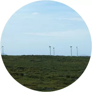 Ten Mile Lagoon Wind Farm - 