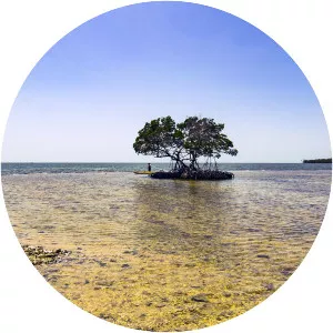 Ten Thousand Islands