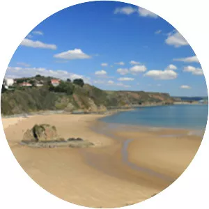 Tenby North Beach - 