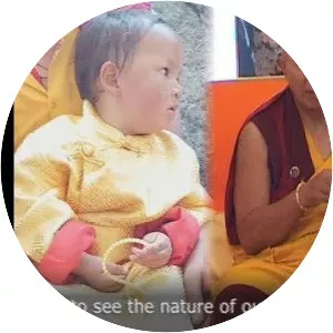 Tenga Rinpoche