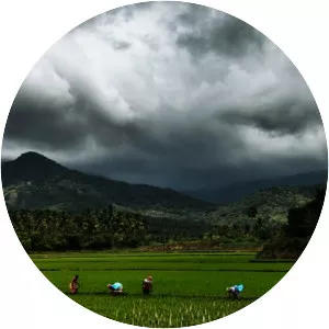 Tenkasi