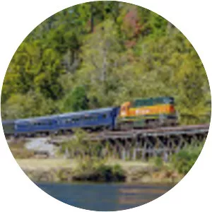 Tennessee Valley Railroad Museum - 