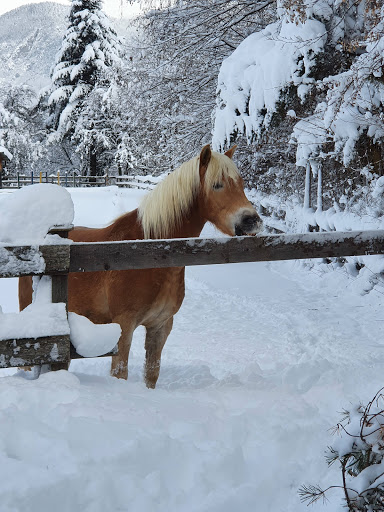 Tennis Club Axams - Sports club in Axams, Austria