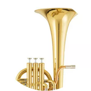 Tenor horn