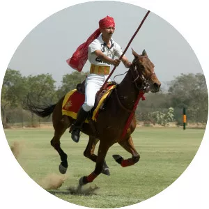 Tent pegging - Sport